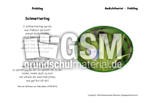 Schmetterling-Fallersleben.pdf